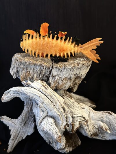 FF6C4496-0A74-4DEC-A87E-DA63726CA48D