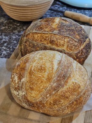 d9444455-1f6d-4afd-a63d-21d30431c401