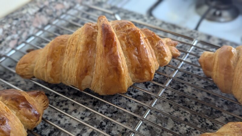 defbed34-1102-425b-821c-ef2bff32ea26