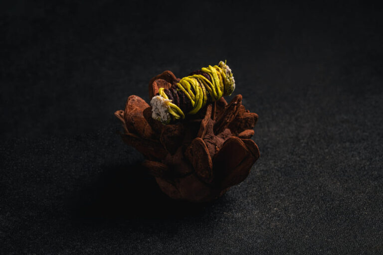 tuberculos-texturas-768x512