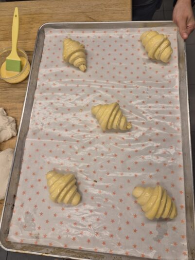 01a8f3e7-398c-4b43-81b8-f07095215c15