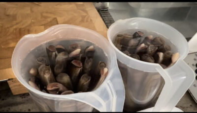 trim.F5652889-E157-4CFA-AD50-7CF15E976DB7