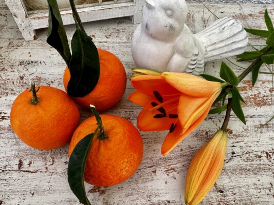 13F4C3E4-DC09-4ECA-9E43-3AB12B6F823B