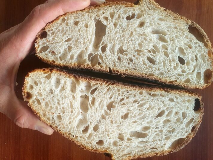 51209fb7-bb8f-4ee4-9ebd-7e9c322ffbc8