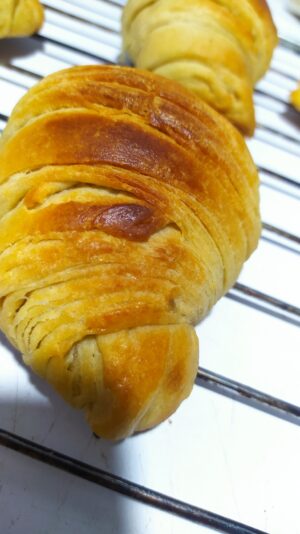 95516051-48ba-411a-9df3-fc7fee635516