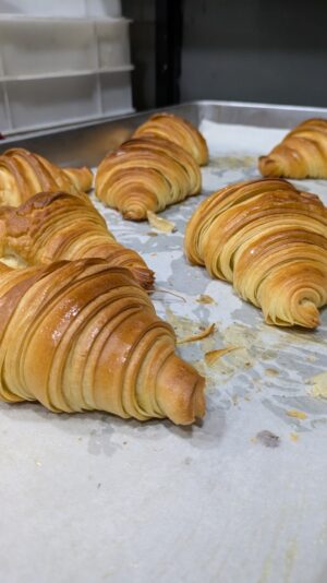 d2ed6d63-bdbd-49ad-aa67-76b20e84930b