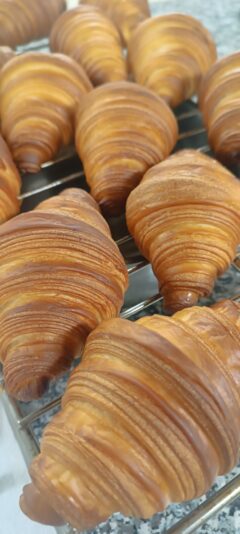 102e8958-7cc9-4b62-8e1e-658987f7060f