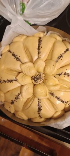 1dcc5bc3-7e4a-4fea-bc10-9ac08f64d6ea