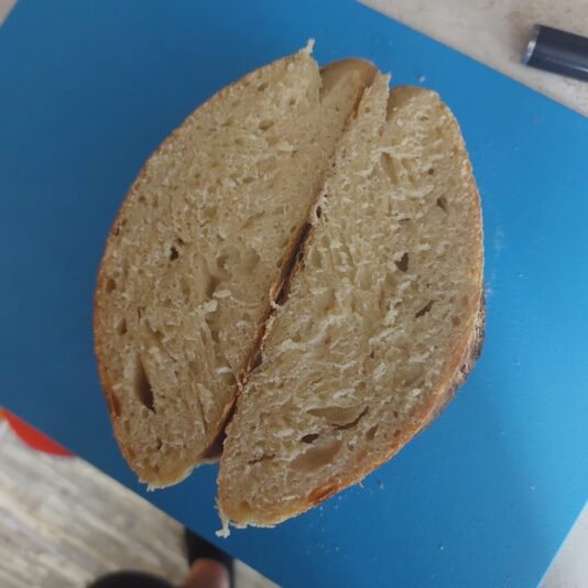 35355eb8-164b-4955-91d0-1f467fb546c2