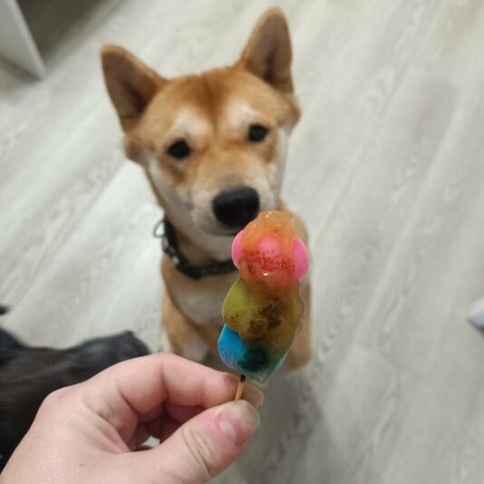 63c903aa-73b9-463f-b115-30f5daacf6b4