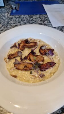 82672cad-4ef4-4f47-8efb-adaf058d5d28