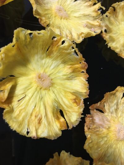 95424249-E14D-44EA-BADD-B3301B83EE13