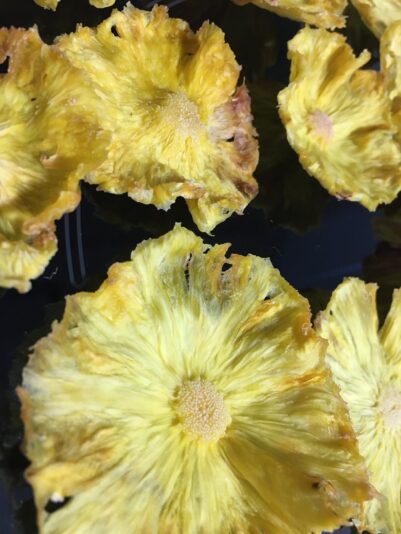 960B1539-C9D5-40E4-B11E-BC6B69FA2320