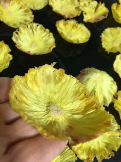 9B822AB7-3BBC-4A4F-8FD0-94FADDA71A8A