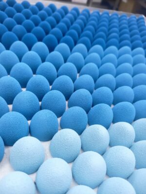 WhatsApp Image 2024-10-30 at 14.02.05