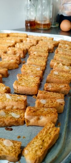 bbf2cbf0-9159-4a37-ad3c-76b9cd533a1e