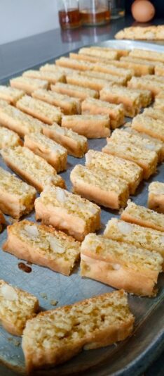 d3e60c22-4e11-4077-8f1b-80b8ec968086