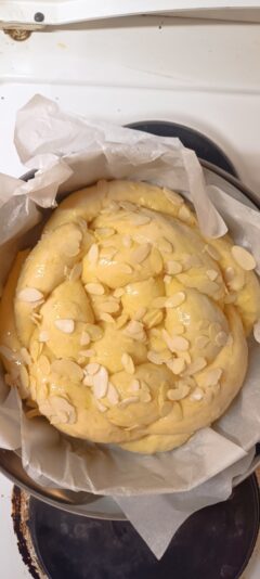 fe5356f0-e41a-48bb-8b37-55017f669c92