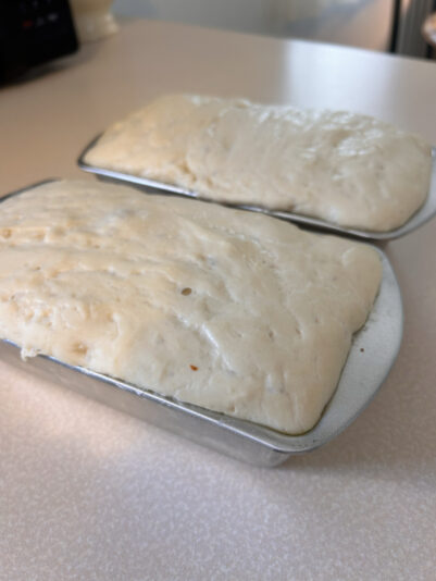 05025FB3-1A8A-4072-B078-FC0D3CC2597B