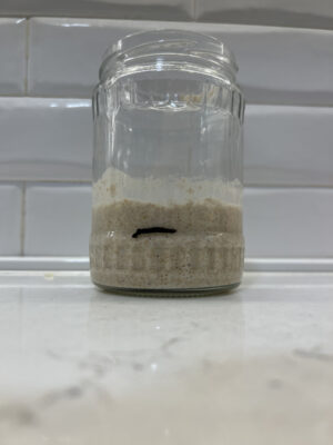 07B846DA-F432-4F0B-8246-E0449D8531A7