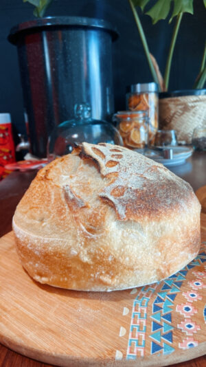 {"eId":"437231326935400","CameraPosition":1}