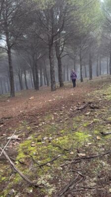 copy_966E15A2-CC28-4780-9776-D64CD1370351