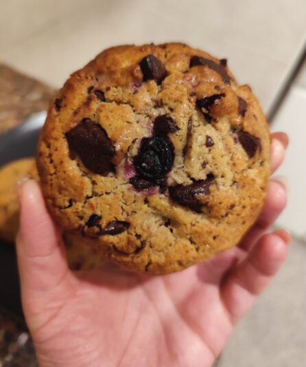 40ce8353-38be-44bf-a916-1afc64ba498a