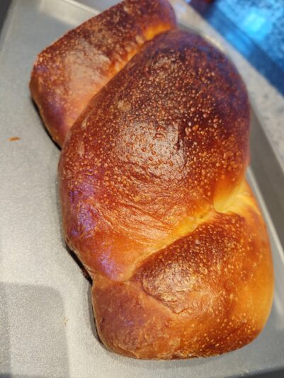 40e75577-3e1b-4a54-bd38-9609d20bc549