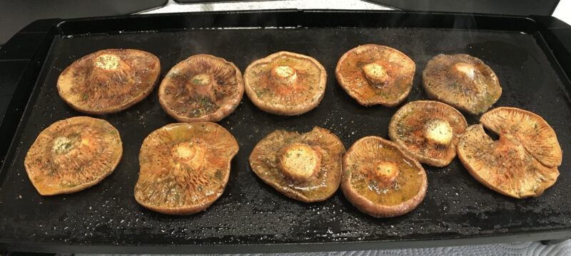 42FC3E66-9D09-4F7E-BC87-C49E6D66B5B5