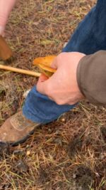 51AFD702-A6FA-4C0D-978F-D703BAB4600B