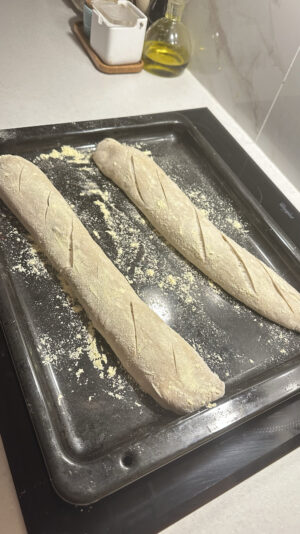 43C425AA-AFF0-4CF4-BCEB-830112F1674B