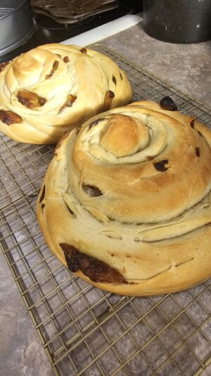 65cb2af9-8625-4611-8c73-ec4007f51e47