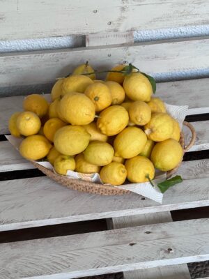 86E87101-2A2A-45E6-82C1-46621BC9CF0C