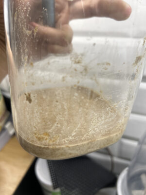 96718901-AD78-4044-9EB3-BCC308B54D74