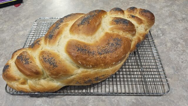 97d262d5-e96d-499f-8177-6420b8b319bc