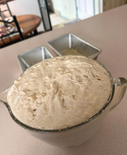 A069749A-F6E3-4D34-83C2-731CDB84FFD9