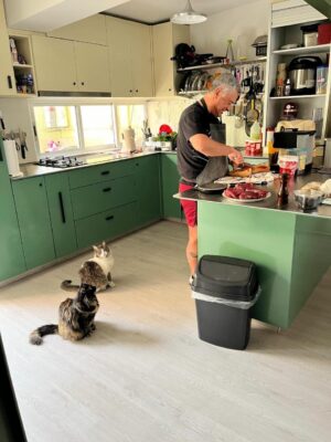 ab2284be-ea9b-46ec-9490-ef9f57b98ef0