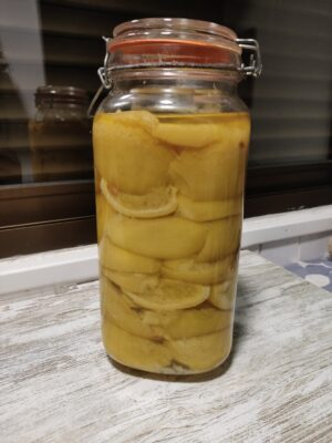 b1b7513b-3147-4753-8b0c-cc3b65f6811b