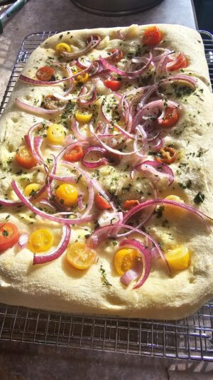 dae65bb3-b544-412d-bce6-a36381888fa0