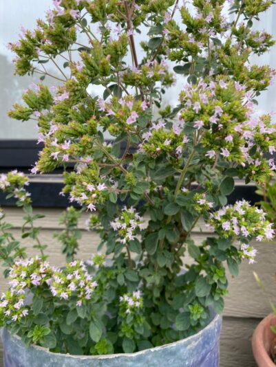 0ba179ea-97e8-4442-94a0-aecaff0e0134