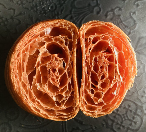 1802F59E-6EFD-4A5B-BA82-5C4A4E4E46E6