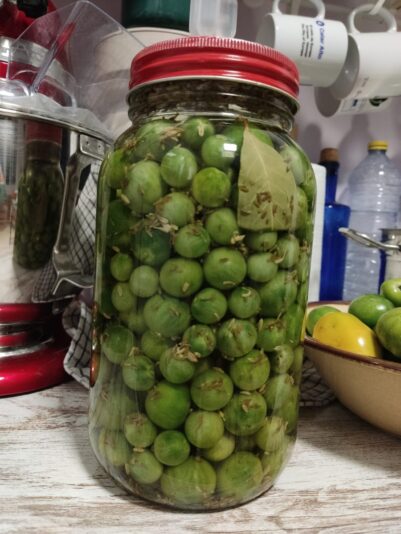 21b18f33-f15f-48d1-898a-22abef43ca5e