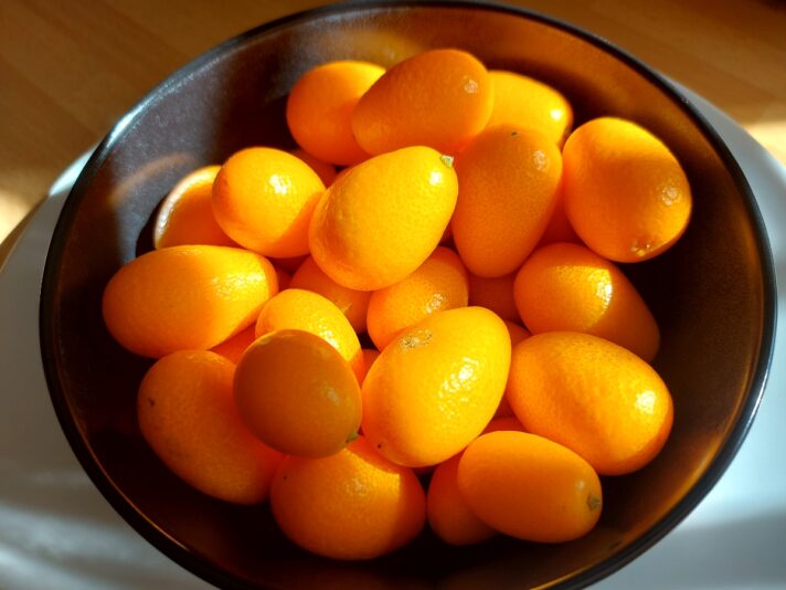 36b9736e-dd58-45f8-95c8-3e30b5d64c93