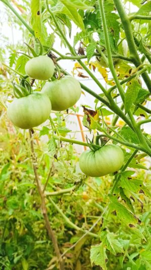 3a1fc656-7352-4692-89b5-58c7bf79ba0e