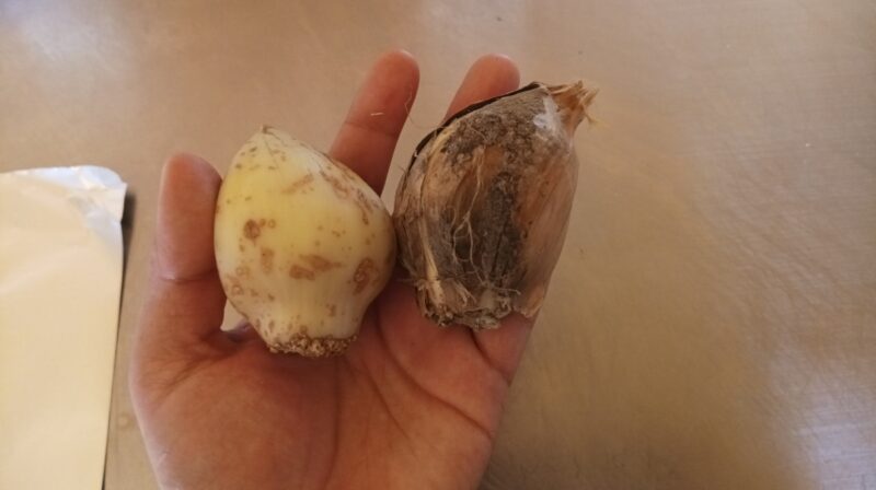 3b3ce6cc-ca9e-4d86-a825-3755dd11428b