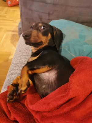 46bc654d-32f5-45a0-8194-86d1da74bf5e