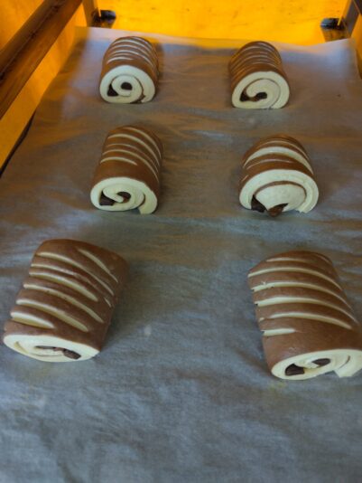 519b78ce-75ed-42d2-abc4-db7b0eb413cd