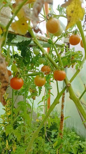 5d2c1ff7-a233-4b04-8bd8-3de0ff4d58b0