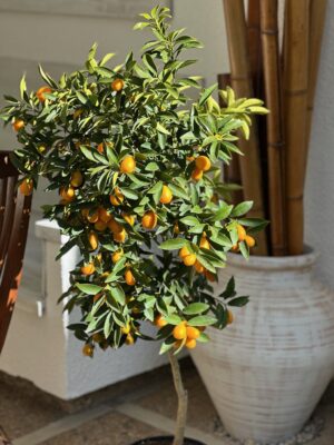 7CE98CCF-6F4A-4A82-92B0-94A8E20A3F0F