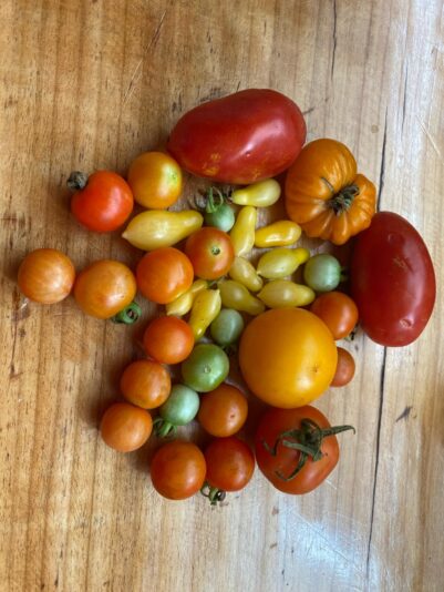 8161a579-d8bf-48ea-a7a4-45d06902afd1